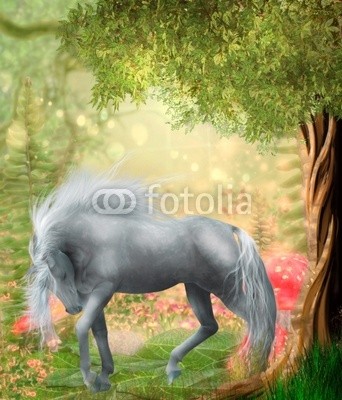Ancello, pferd im märchenwald (grau, pferd, weiß, märchenwald, romantisch, romantisch, idylle, ruhe, wald, entspannung, baum, baum, magie, magie, frieden, schmetterling, schmetterling, traum, märchen, fliegenpilz, phantasie, fantasy, märchenland, fairy, fairy, hintergrun)