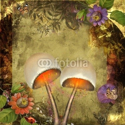 Ancello, traumwald (idylle, ruhe, entspannung, wald, marienkäfer, käfer, blume, blume, baum, baum, magie, magie, taube, taube, vögel, vögel, frieden, schmetterling, schmetterling, traum, märchen, fliegenpilz, phantasie, fantasy, märchenland, fairy, fairy, hintergrun)