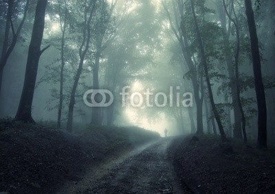 andreiuc88, man walking in a green forest with fog (Wunschgröße, Fotografie, Photografie, Landschaft, Wald, Waldweg, Wanderer, Herbst, Nebel, Dunst, Natur, Stille, Bäume, Licht, Wohnzimmer, Wellness, Schlafzimmer, schwarz /weiß)