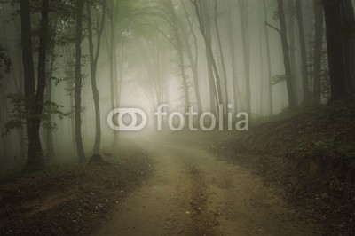 andreiuc88, road through a forest with fog in summer (Wunschgröße, Fotografie, Photografie, Landschaft, Wald, Waldweg,  Sommer, Nebel, Dunst, Natur, Stille, Bäume, Wohnzimmer, Wellness, Schlafzimmer,bunt)