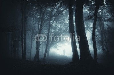 andreiuc88, shadow sneaking in the forest (Wunschgröße, Fotografie, Photografie, Landschaft, Wald, Waldweg, Wanderer, Licht, Herbst, Nebel, Dunst, Natur, Stille, Bäume, Wohnzimmer, Wellness, Schlafzimmer,bunt)