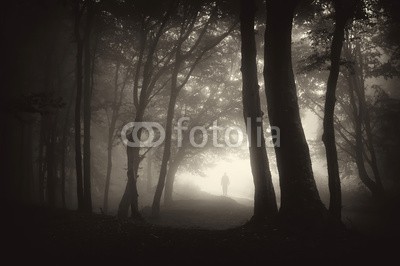 andreiuc88, strange figure of a man person walking in a dark forest with fog (Wunschgröße, Fotografie, Photografie, Landschaft, Wald, Waldweg,  Wanderer, Herbst, Nebel, Dunst, Natur, Licht, Stille, Bäume, Wohnzimmer, Wellness, Schlafzimmer, schwarz / weiß)