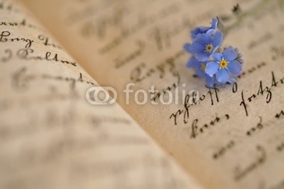 Andreja Donko, Forget-me-not on Diary (ecommerce, tagebuch, details, close-up, bÃ¼cher, handschriftlich, blatt, Ã¶ffnen, blau, winzig, handschrift, gedÃ¤chtnis, blume, nostalgie, blÃ¼hen, aromatisch, getrocknete, feinfÃ¼hlig, zweig, petal, niemand, alt, grunge, gedÃ¤chtnis, erinnern, abbil)