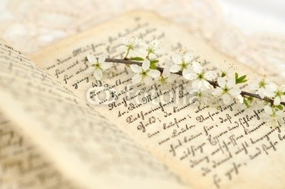 Andreja Donko, Spring Diary (blÃ¼hen, tagebuch, details, close-up, bÃ¼cher, handschriftlich, blatt, Ã¶ffnen, handschrift, gedÃ¤chtnis, blume, nostalgie, aromatisch, getrocknete, feinfÃ¼hlig, zweig, krÃ¤uter, natÃ¼rlich, petal, entspannen, weiÃŸ, niemand, alt, grunge, gedÃ¤chtni)