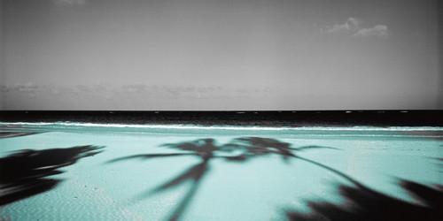 Anne Valverde, Palm & Sands (Wunschgröße, Landschaften, Landschaftsfotografie, Strand, Palmen, Karibik Fotokunst)
