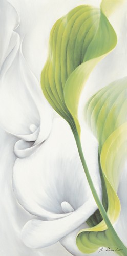 Annette Schmucker, Calla II (Calla, Blüte, Blume, Pflanze, Blätter, Eleganz, Malerei, floral, Wunschgröße, Treppenhaus, Schlafzimmer, weiß/grün)