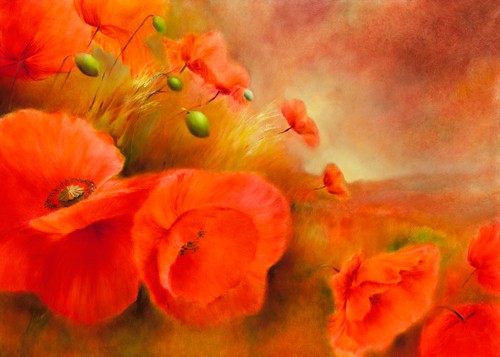 Annette Schmucker, Im Abendlicht (Mohn, Mohnblüten, Blüten, Blumen, Pflanze, Blütenblätter,  zart, filigran, floral, leuchtend, Malerei, Treppenhaus, Esszimmer, Wohnzimmer, Wunschgröße, rot)