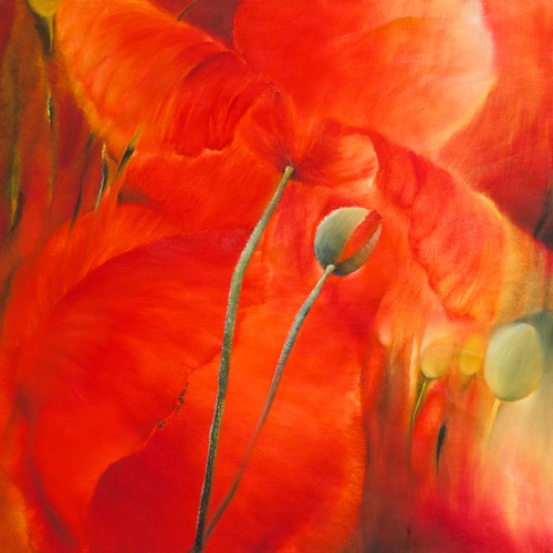 Annette Schmucker, Roter Mohn (Mohn, Mohnblüten, Blüten, Blumen, Pflanze, Blütenblätter,  zart, filigran, floral, leuchtend, Malerei, Treppenhaus, Esszimmer, Wohnzimmer, Wunschgröße, rot)