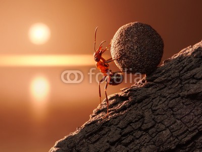 Antrey, ant Sisyphus rolls stone uphill on mountain, concept (berg, ameise auf der blume, steine, fels, work, hart, bergauf, upgrade, arbeit, konzept, ideen, hügel, meer, sonne, rot, besinnung, sonnenuntergänge, sunrise, schwer, gewichten, kräfte, spirit, close-up, makro, wasser, himmel, horizont, ebnen, skylin)