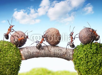 Antrey, team of ants rolling stones on bridge, teamwork (ameise, gespann, zusammenarbeit, work, erzählung, ameisenhaufen, makro, spirit, sommer, gras, moos, blau, himmel, wolken, steine, hart, schwer, rolls, gewichten, brücke, landschaft, landlich, staat, ameise, tier, insekt, spassig, hölzern, lücke, golfe)