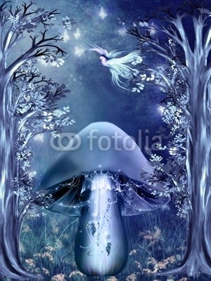 Ancello, magischer wald (wald, baum, baum, magie, magie, taube, taube, vögel, vögel, frieden, schmetterling, schmetterling, traum, märchen, fliegenpilz, phantasie, fantasy, märchenland, fairy, fairy, hintergrund, verwunschen, märchen, herbst, verträumt, nacht, pilz, pil)