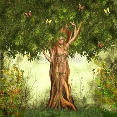 Ancello, mutter natur (baum, frau, welt, nuss, natur, sexy, 11, wald, baum, jahreszeit, jahreszeit, laub, blatt, blatt, grün, efeu, romantisch, romantisch, idylle, ruhe, entspannung, magie, magie, frieden, schmetterling, schmetterling, traum, märchen, fliegenpilz, phantasi)