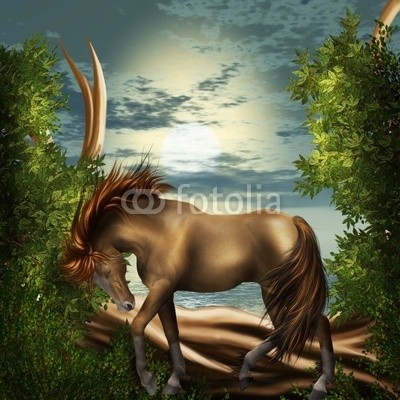 Ancello, pferd im mondenschein (pferd, see, teich, mond, idylle, ruhe, wald, entspannung, baum, baum, magie, magie, vögel, vögel, frieden, schmetterling, schmetterling, traum, märchen, fliegenpilz, phantasie, fantasy, märchenland, fairy, fairy, hintergrund, verwunschen, märche)