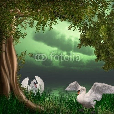 Ancello, schwanensee (swans, swans, idylle, ruhe, wald, entspannung, baum, baum, magie, magie, vögel, vögel, frieden, schmetterling, schmetterling, traum, märchen, fliegenpilz, phantasie, fantasy, märchenland, fairy, fairy, hintergrund, verwunschen, märchen, herbs)