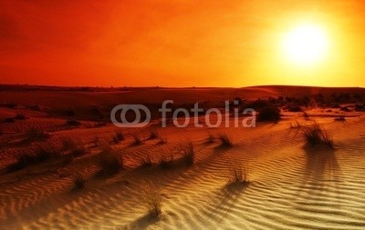 Anna Omelchenko, Extreme desert (oden, sand, sanddünen, hot, landschaft, natur, orange, panoramisch, safarie, sahara, sommer, sonne, sonnig, sunrise, sonnenuntergänge, warm, abenteuer, hintergrund, hintergrund, schönheit, verfärbt, trocken, abenddämmerung, extrem, global, boden, hitz)