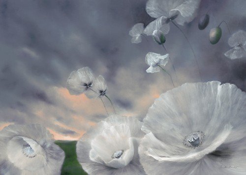 Annette Schmucker, Flchtig (Mohn, Mohnblüten, Wind, Sturm, Blüten, Blumen, Pflanze, Blätter, zart, filigran, floral,  Malerei, Treppenhaus, Wohnzimmer, Wunschgröße, grau/weiß)