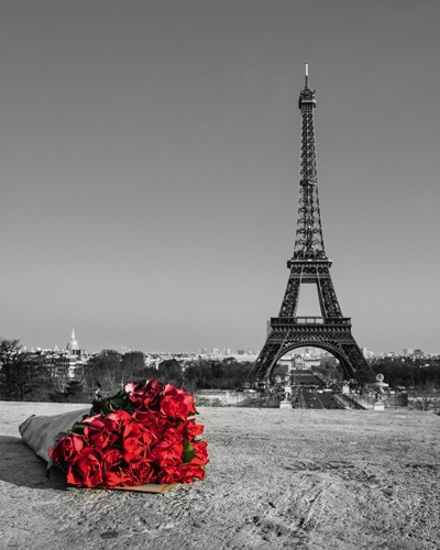 Assaf Frank, Love Story I (Fotokunst, Stadt, Paris, Eiffelturm,  rote Rosen, Rosenstrauß, Nostalgie, Idylle, Wahrzeichen, Panorama, Frankreich, Wohnzimmer, Arztpraxis, schwarz / weiß, rot,Colorspot)