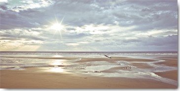 Assaf Frank, Seascape (Wunschgröße, Fotografie,  Meeresbrise, Natur, Strand, Sand, Horizont, Himmel, Wolken, Sonne, Einsamkeit, Wolken, Arztpraxis, Badezimmer, Schlafzimmer, bunt)