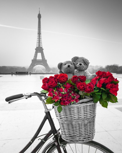 Assaf Frank, Teddy Rendez-vous (Fotokunst, Stadt, Paris, Eiffelturm, Fahrrad, Fahrradkorb, rote Rosen, Teddypaar, Umarmung, Liebe, Gefühl, romantisch, Nostalgie, Idylle, Wahrzeichen Frankreich, Wohnzimmer, Arztpraxis, schwarz / weiß, rot,Colorspot)