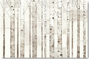 Avery Tillmon, Birch Trees on White (Wunschgröße, Zeichnung, Bäume, Birken, Baumstämme, systematisch, Wohnzimmer, Schlafzimmer, schwarz / weiß)