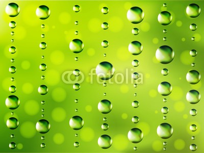 Ayvengo, Abstract dew green background (grün, welt, peace, ökologie, flora, pflanze, natur, umwelt, jahreszeit, hintergrund, mustern, kulisse, wetter, abstrakt, wasser, wassertropfen, entladen, tröpfchen, tau, vorstellung, fantasy, frühling, sommer, life, tage, wald, schöner, naturgewal)