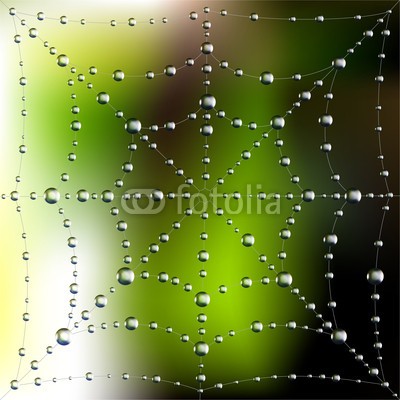 Ayvengo, Spider web with dew drops (tier, kunst, hintergrund, stutzen, netz, netz, tau, entladen, komplexität, konstruktion, element, wald, rahmen, frisch, voll, grün, insekt, linie, makro, masche, netz, network, pure, regentropfen, geformt, zeichen, silhouette, spinne, klebrig, symbo)