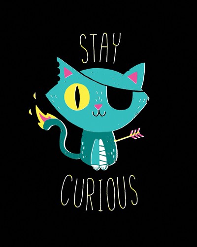 Michael Buxton, Stay Curious (Katze, Verletzungen, Augenbinde, Grafik, Comic, schwarzer Humor, Spruch, witzig, lustig, Jugendzimmer, Treppenhaus, Grafik, Wunschgröße, bunt)