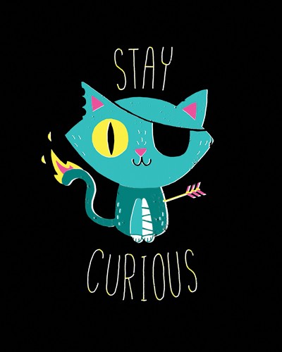 Michael Buxton, Stay Curious (Katze, Verletzungen, Augenbinde, Grafik, Comic, schwarzer Humor, Spruch, witzig, lustig, Jugendzimmer, Treppenhaus, Grafik, Wunschgröße, bunt)