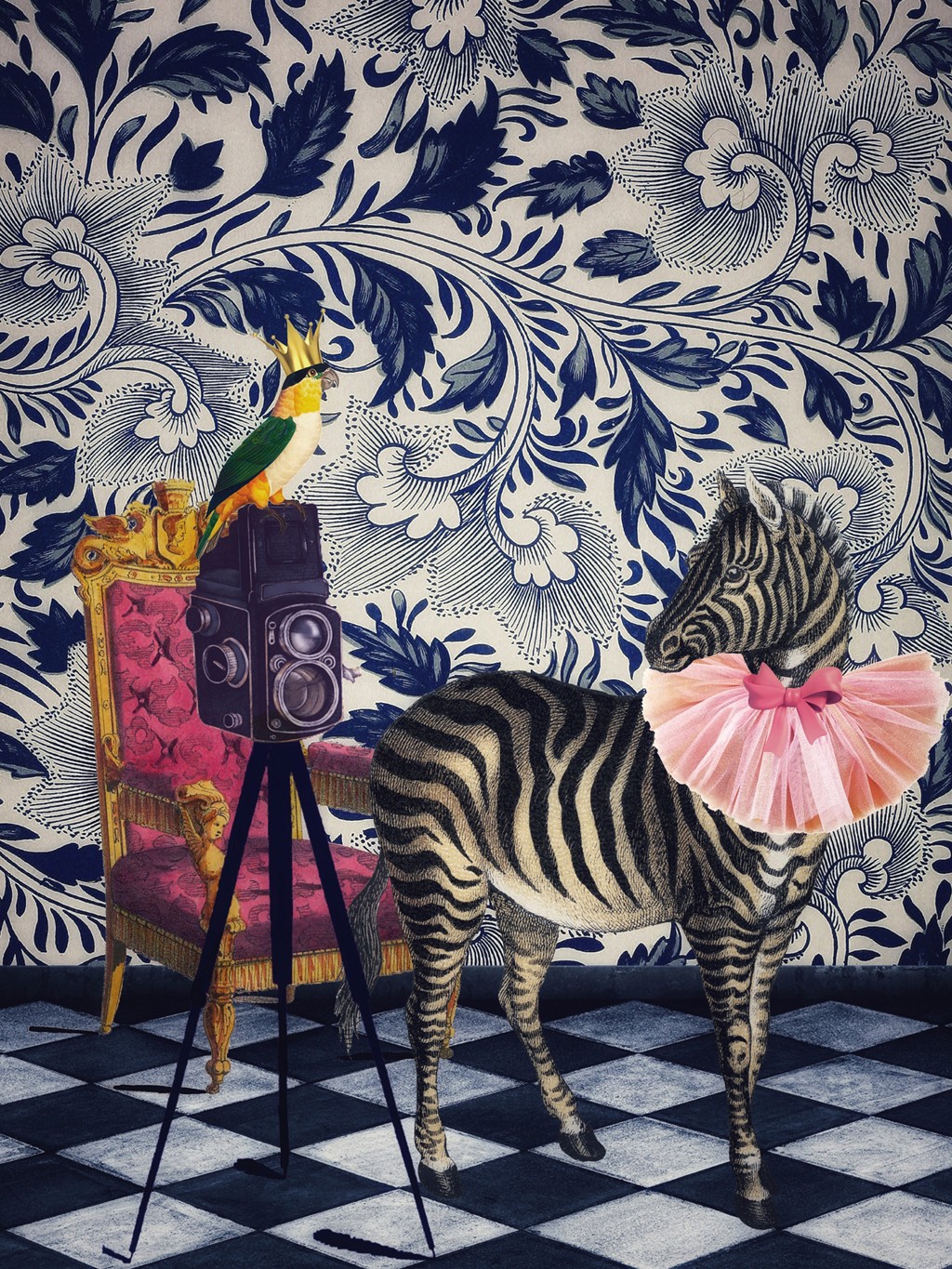Erika C. Brothers, Picture Day (Zebra, Tier, Kamera, Fotoshooting, Spitzenkragen, Tapete, florale Muster, Fantasy, surreal, modern, Treppenhaus, Wohnzimmer, Jugendzimmer, Wunschgröße,)
