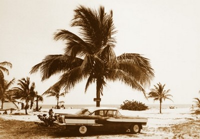 Barbara Dombrowski, Havanna III (Oldtimer, Straßenkreuzer, Auto, Kuba, Palme, Strand, Nostalgie, Photokunst, Fotokunst, Wohnzimmer, Treppenhaus, Wunschgröße, sepia)