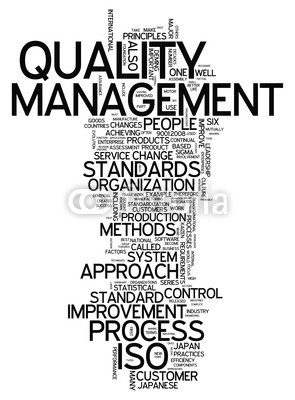 Ben Chams, Word Cloud Quality Management (Wunschgröße, Fotokunst, Grafik, Worte, Wolke, Intelligenz, Gitter, Raster, Motivation, Modernität, Büro, Business, grau, blau)