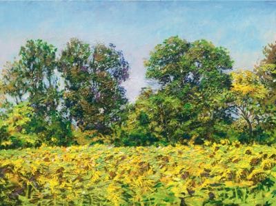 Raphael Bergmann, Sonnig (Landschaft, Natur, Sonnenblumen, Licht, Sommer, Treppenhaus, Arztpraxis, Wohnzimmer, Malerei, zeitgenössisch, bunt)