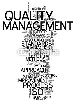 Ben Chams, Word Cloud Quality Management (Wunschgröße, Fotokunst, Grafik, Worte, Wolke, Intelligenz, Gitter, Raster, Motivation, Modernität, Büro, Business, grau, blau)