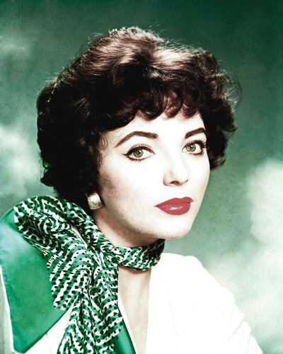 Hollywood Photo Archive, Joan Collins (Joan Collins, Diva, Portrait, Schauspielerin, Nostalgie, Halstuch, Filmklassiker, Persönlichkeiten, Fotografie,  Wohnzimmer, Kino, Wunschgröße, bunt)