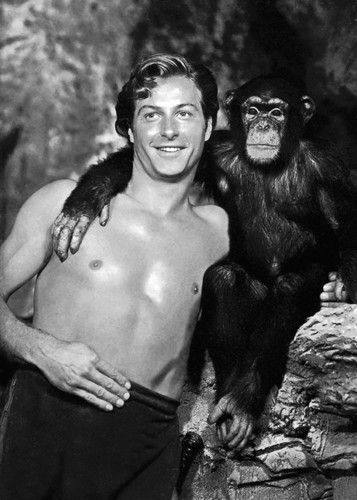 Hollywood Photo Archive, Lex Barker with Cheeta (Lex Barker, Tarzan, Schimpanse, Affe, Schauspieler, Nostalgie, Portrait, Filmklassiker, Filmszene, Persönlichkeiten, Fotografie,  Wohnzimmer, Kino, Wunschgröße, schwarz/weiß)