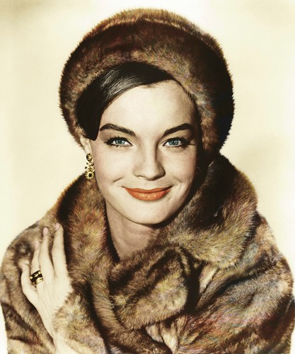 Hollywood Photo Archive, Romy Schneider (Romy Schneider, Schauspielerin, Diva, Nostalgie, Portrait, Filmklassiker, Filmszene, Persönlichkeiten, Fotografie,  Wohnzimmer, Kino, Wunschgröße, bunt)