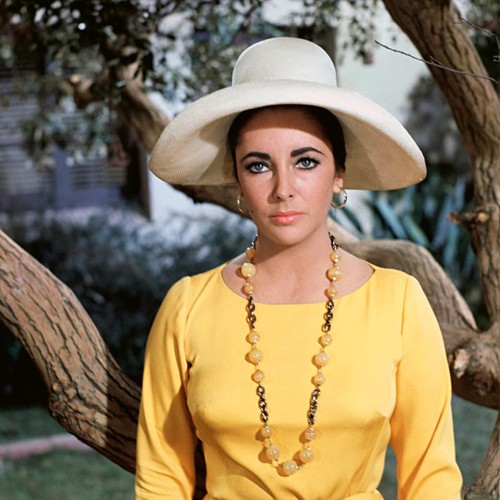 Hollywood Photo Archive, Elizabeth Taylor