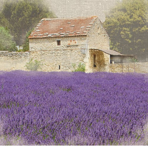 Bret Straehling, Tuscan Lavender (Lavendel, Lavendelfeld, Blüten, Sommer, Steinhaus, mediterran, Toskana, Italien, Fotokunst, Wohnzimmer, Wunschgröße, bunt)