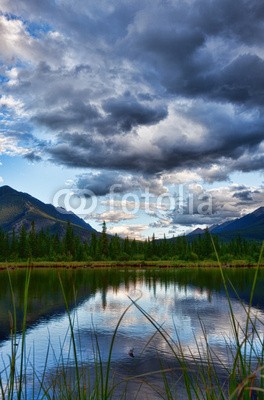 Brenda Carson, Vermillion Lakes at Dusk (landschaft, see, berg, wasser, natur, abend, banff, park, kanada, abenddämmerung, wildnis, schönheit, schön, sommer, sehenswürdigkeit, tourism, gras, ried, wolken, wolkenschleier, sturm, vertikal, rocky mountains, immergrün, fichte, wal)