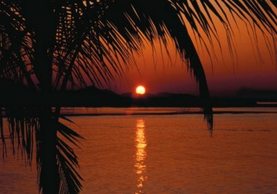 Carlos Fernández Gallegos, Abendrot (Sonnenuntergang, Meer, Palme, maritim, Idylle, Meeresbrise, Urlaub, Wohnzimmer, Schlafzimmre, Wunschgröße, Fotokunst, orange/rot)