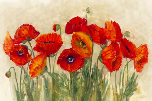 Carol Rowan, Vibrant Poppies (Blumen, Mohnblumen, Klatschmohn, Sommer, Blüten, Wohnzimmer, Esszimmer, Treppenhaus, Wunschgröße, Malerei, leuchtend, bunt)