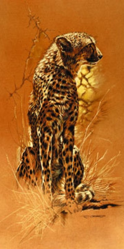 Renato Casaro, Cheetah (Natur, Afrika,  Tier, Raubkatze, Gepard, Sonnenlicht, Sonnenuntergang, Abendrot,  Wohnzimmer, Kunst, Modern, Malerei, Fotorealismus, gelb / orange)