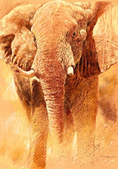 Renato Casaro, Elefant Study (Natur, Afrika, Elefant,  Wohnzimmer, Kunst, Modern, Malerei, Studie,  Tierstudie, gelb / orange)