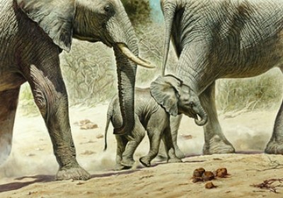 Renato Casaro, Go Baby Go (Natur, Afrika,  Tier, Elefant, Elefantenbaby, Elefantenherde, Schutz, behüten, Wohnzimmer, Kunst, Modern, Malerei, Fotorealismus, bunt)
