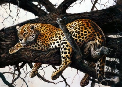 Renato Casaro, Laziness (Natur, Afrika,  Tier, Raubkatze, Leopard, Faulheit, Trägheit, Ausruhen, Baum, Wohnzimmer, Kunst, Modern, Malerei, Fotorealismus, bunt)