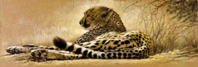 Renato Casaro, Little rest (Natur, Afrika, Gepard, Raubkatze, Faulheit, Trägheit, Ausruhen, Pause, Wohnzimmer, Kunst, Modern, Malerei, Fotorealismus, bunt)