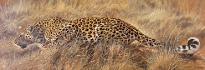 Renato Casaro, Wanted (Natur, Afrika,  Tier, Raubkatze, Leopard, Jagd,  Anschleichen, Wohnzimmer, Modern, Malerei, Fotorealismus,   bunt)