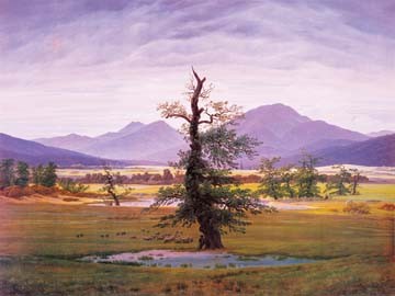 Caspar David Friedrich, Der einsame Baum (Wunschgröße, Malerei, Romantik, Landschaft, Natur, Berge, Panorama, Ebene, Baum, Ruhe, Einsamkeit, Klassiker, Wohnzimmer, Schlafzimmer, bunt)