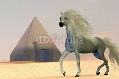 Catmando, Arabian Horse (Wunschgröße, Fotokunst, Schimmel, Araber, Wüste,Pyramide,Landschaft, Leuchten, Zauber, Magie, Fantasie, Mythos, Märchen, Jugendzimmer, Schlafzimmer, Wohnzimmer, bunt)