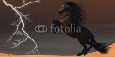 Catmando, Desert Lightning Horse (Wunschgröße, Fotokunst, braunes Pferd, Wüste, Unwetter, Blitz, Aufbäumen, Himmel, Landschaft, Leuchten, Zauber, Magie, Fantasie, Mythos, Märchen, Jugendzimmer, Schlafzimmer, Wohnzimmer, bunt)